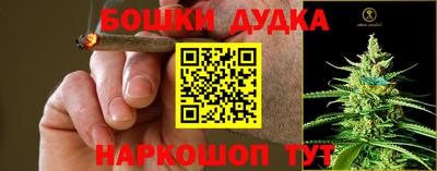стаф Заволжье