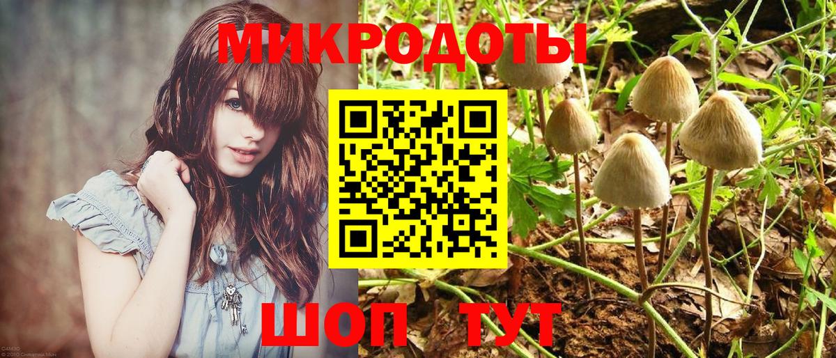 Мытищи  Псилоцибиновые грибы мицелий  Вход с VPN  Псилоцибиновые грибы Cubensis 