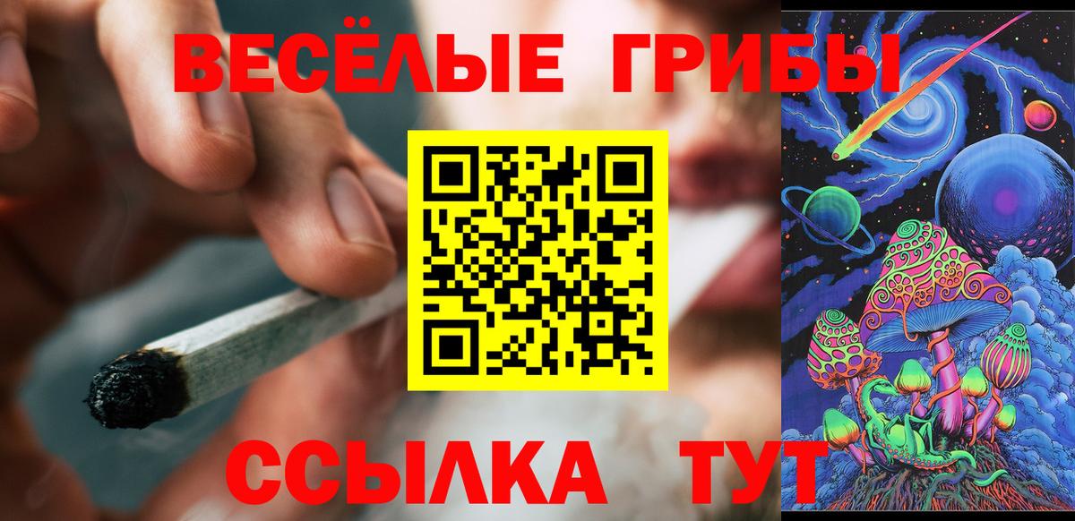 Псилоцибиновые грибы Мытищи